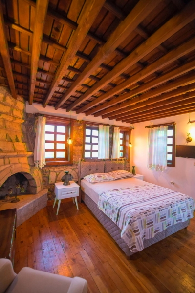 Villa Aslan Konağı